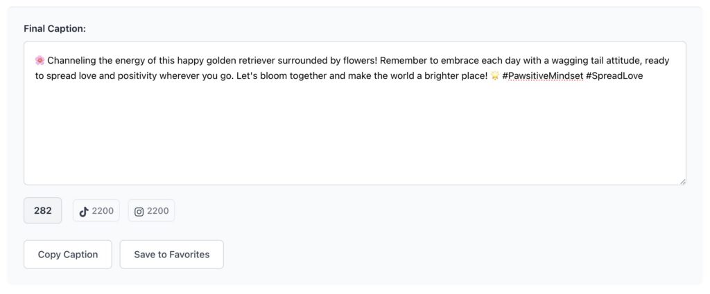 Final screenshot showing a completed caption ready to be copied and used across social media platforms